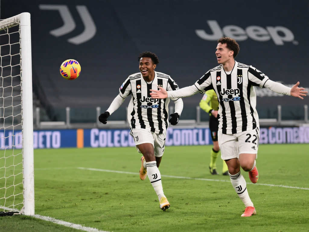 了一个新的 了一个新的